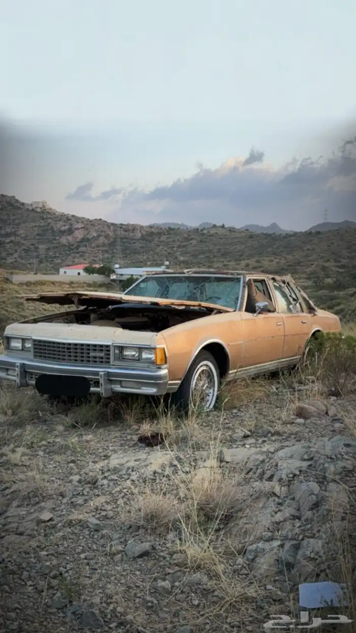 كابريس 1978 تشليح 2