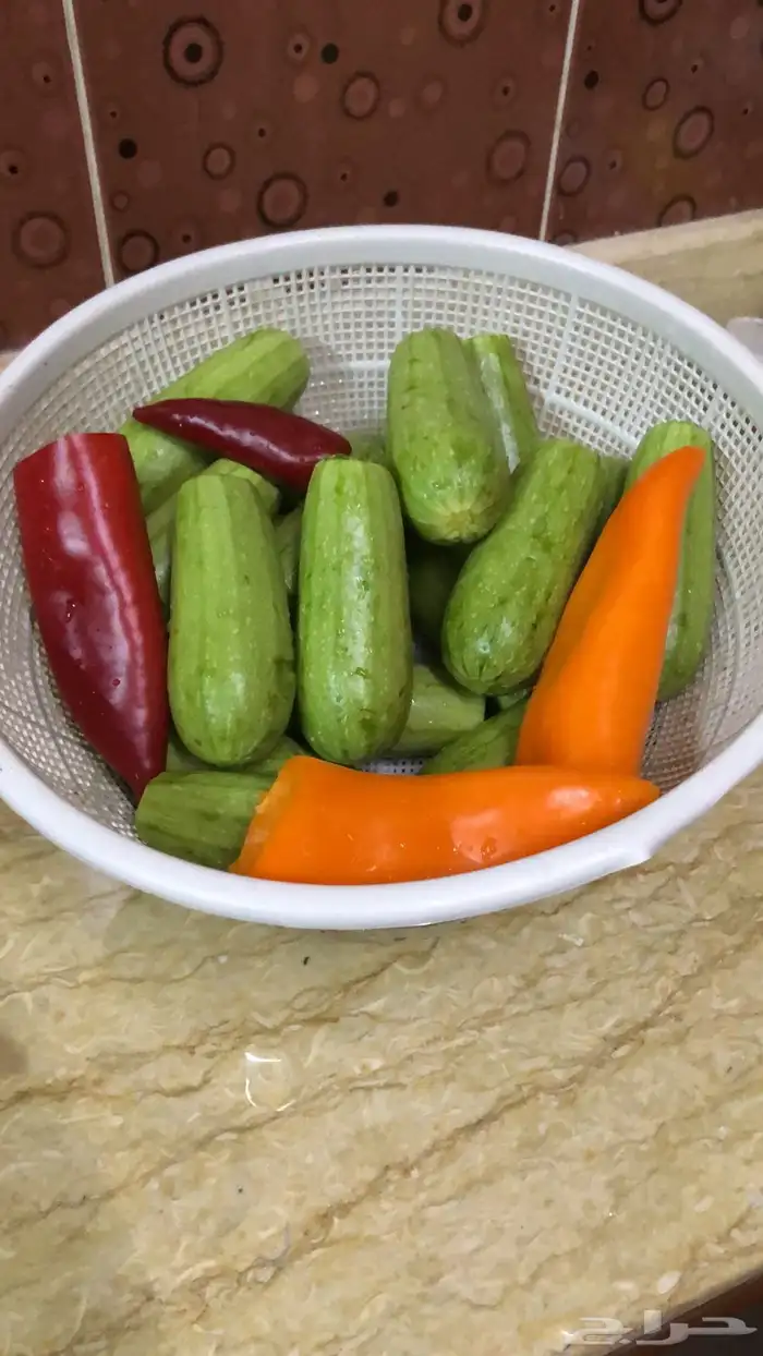 ام شام للأكلات السوريه 5