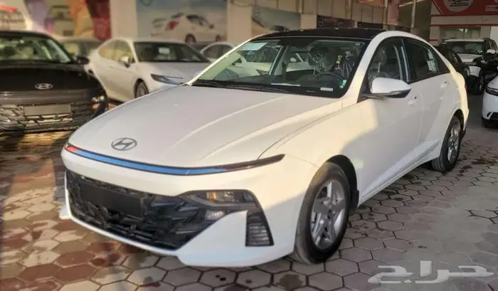 اكسنت فليت 2026 1