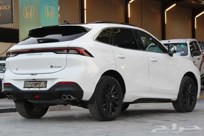 دونج فينج T5 Evo 2023 عرض خاص وحصري 3