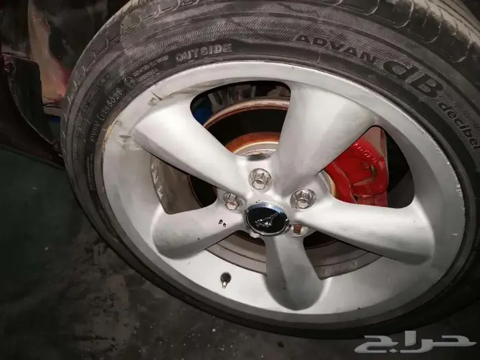 جنوط موستنق 2009 3