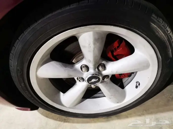 جنوط موستنق 2009 1