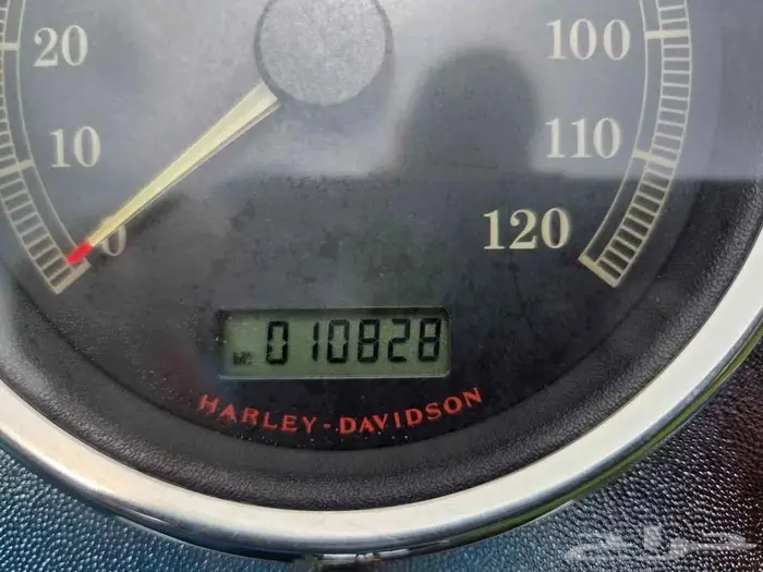 Harley Davidson softail custom 2007 3