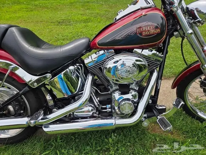 Harley Davidson softail custom 2007 4