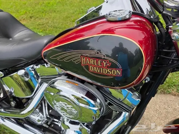 Harley Davidson softail custom 2007 1