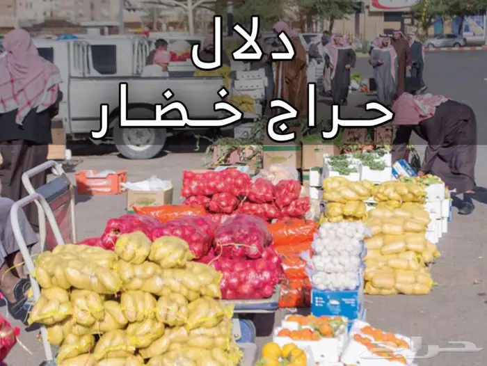 مسوق دلال خضار أبحث عن مزرعة للحراج على الخضار في عنيزة 0