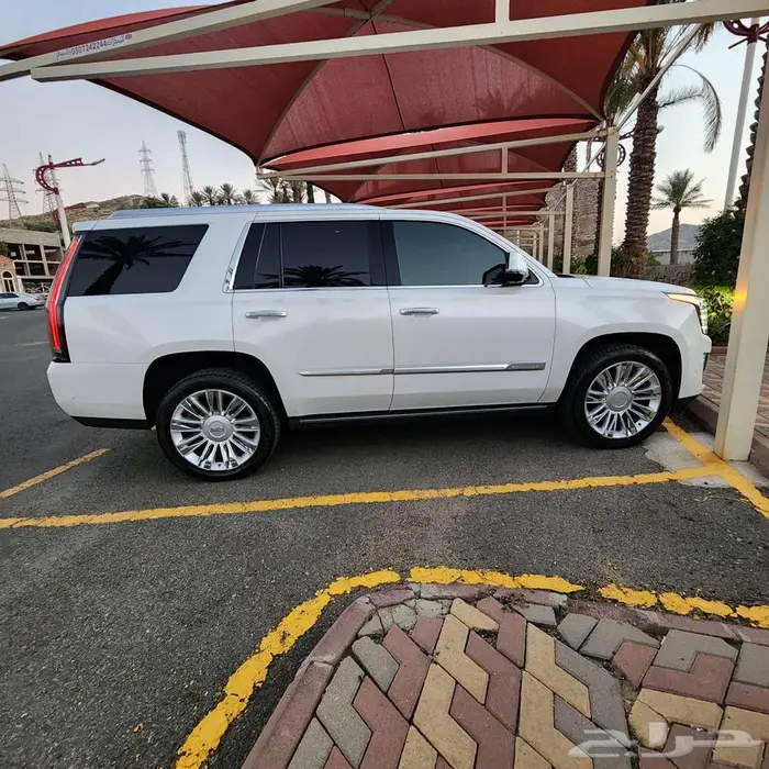 كاديلك اسكاليد 2020 بلاتينيوم بحالة الوكاله 15