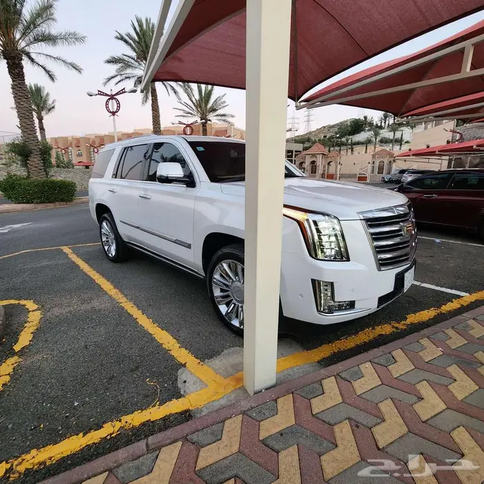 كاديلك اسكاليد 2020 بلاتينيوم بحالة الوكاله 28