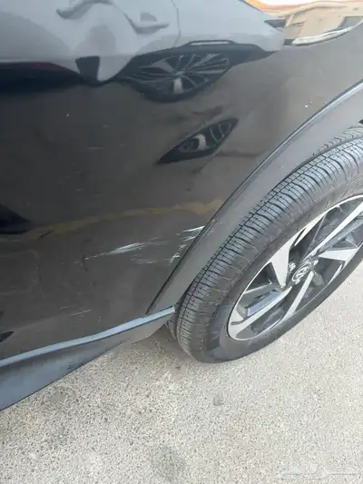 راش اسود 2022 index