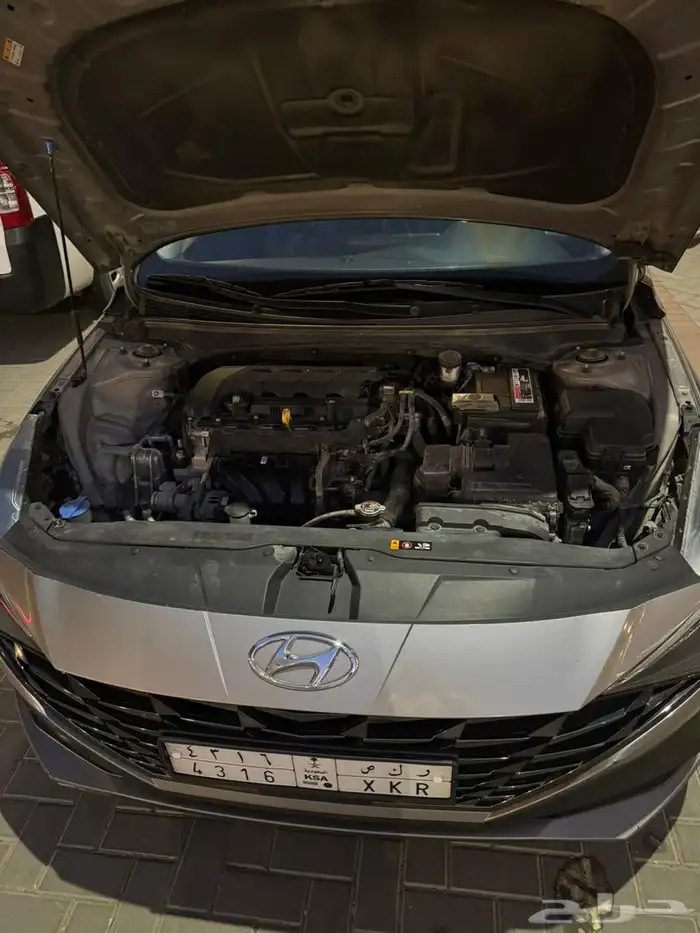 النترا 2021 نص فل 12