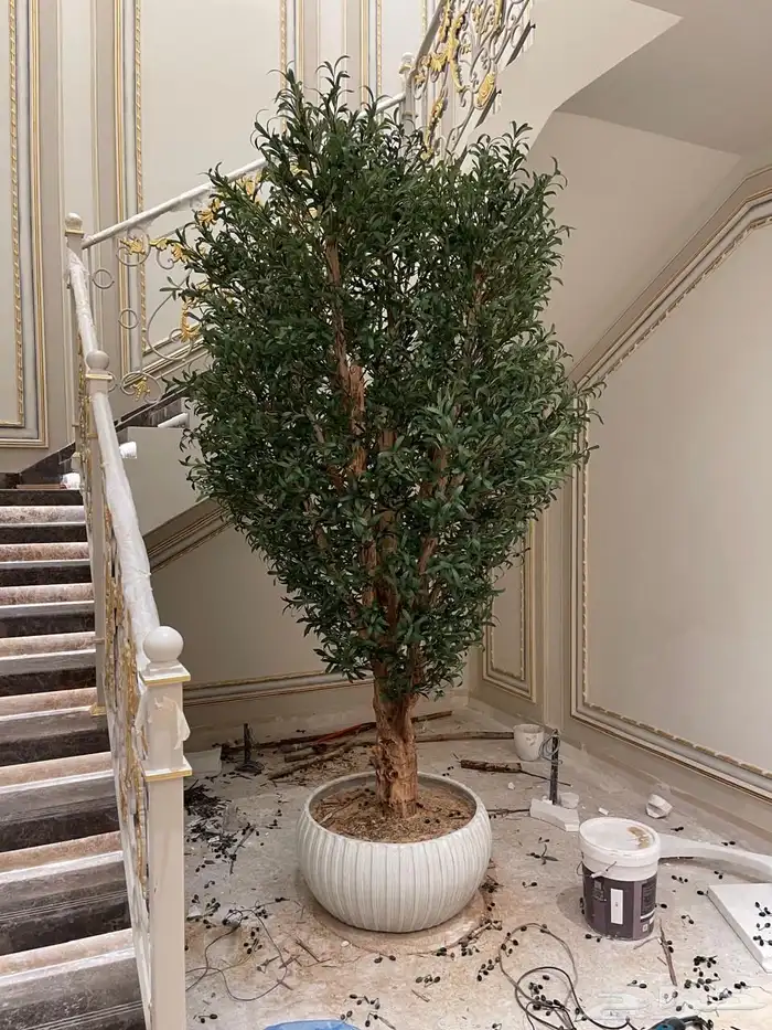 تنسيق شجر أي مناطق 7