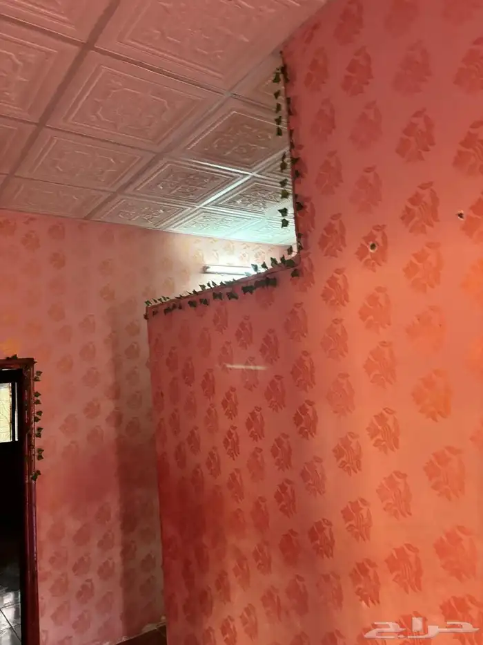 بيت للايجار في العلا في قريه مغيره 14