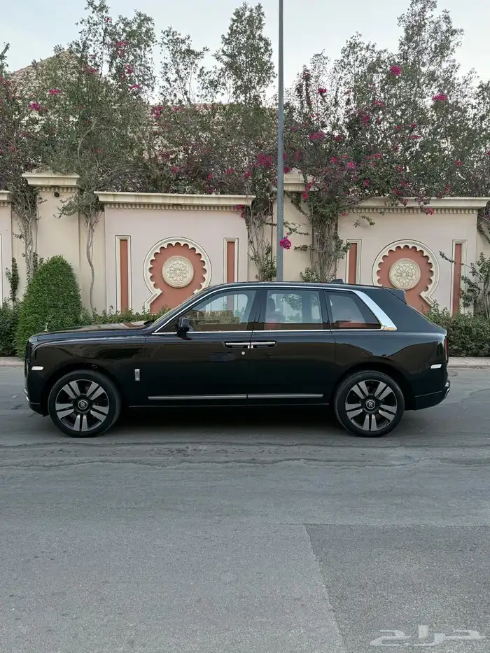 روز كولينان 2019 ناغي مستعمل سلفر باج 2