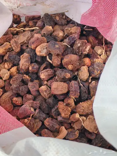 تمر نفيع حشف للغنم والإبل index