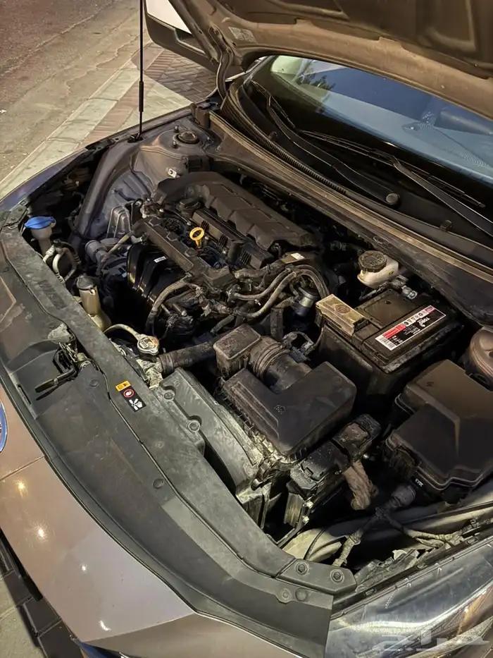 النترا 2021 نص فل 15