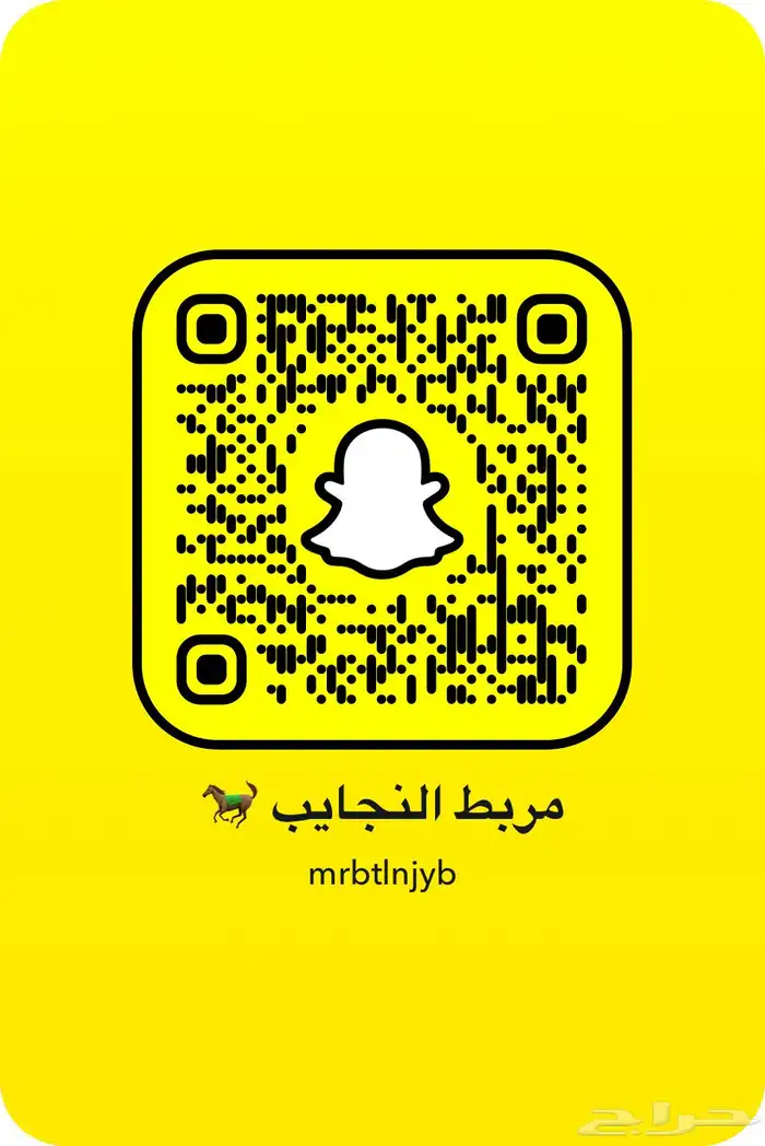 مربط اسطبل النجايب متبقي غرفة واحدة فقط 9