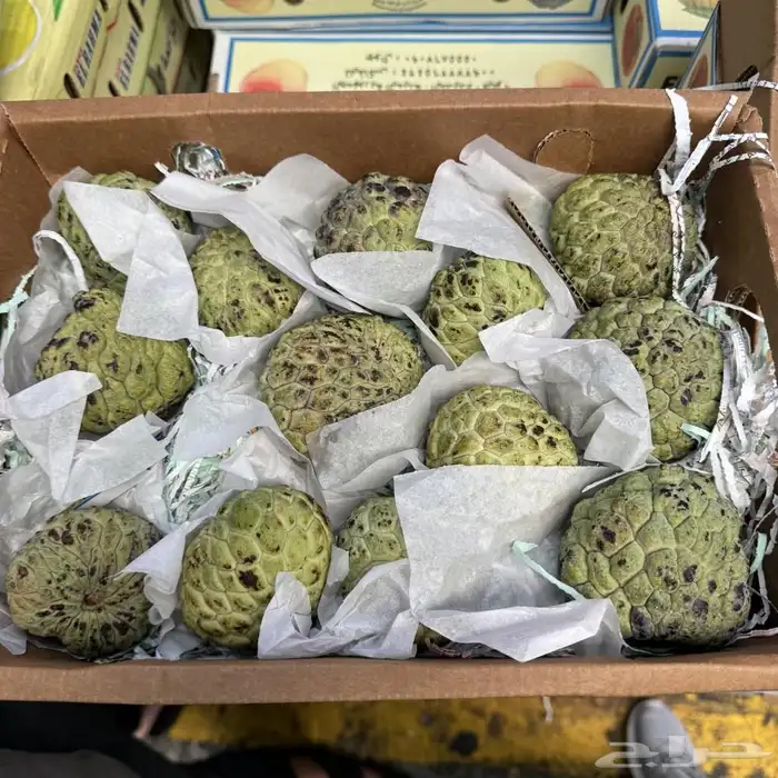 فاكهة القشطة 0