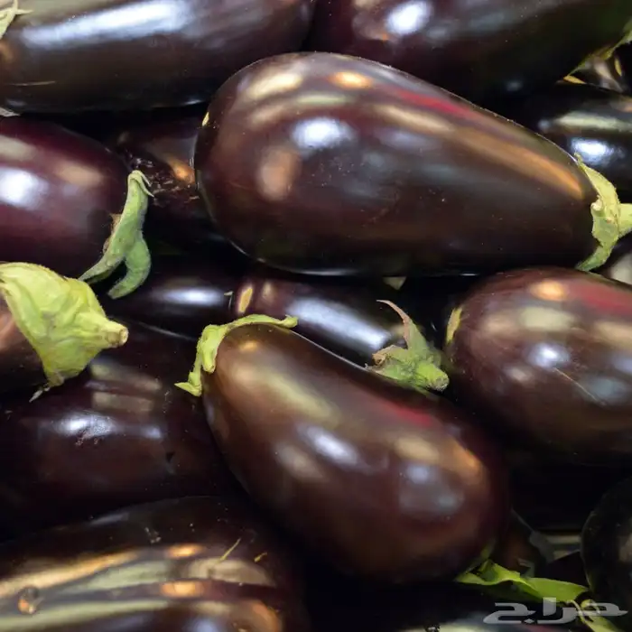 خضار اليوم باسعار الجملة 1