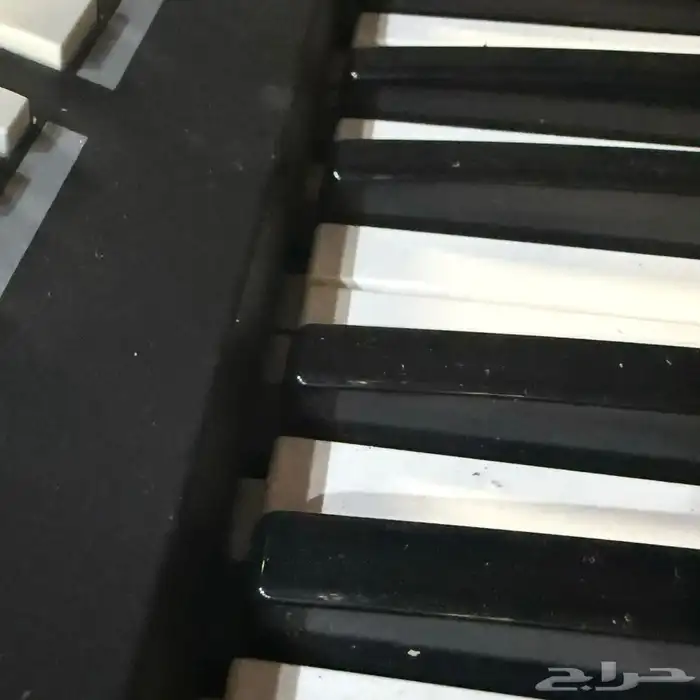 تعليم اساسيات الموسيقى بالتي الاورق والعود إلى الاحتراف 0