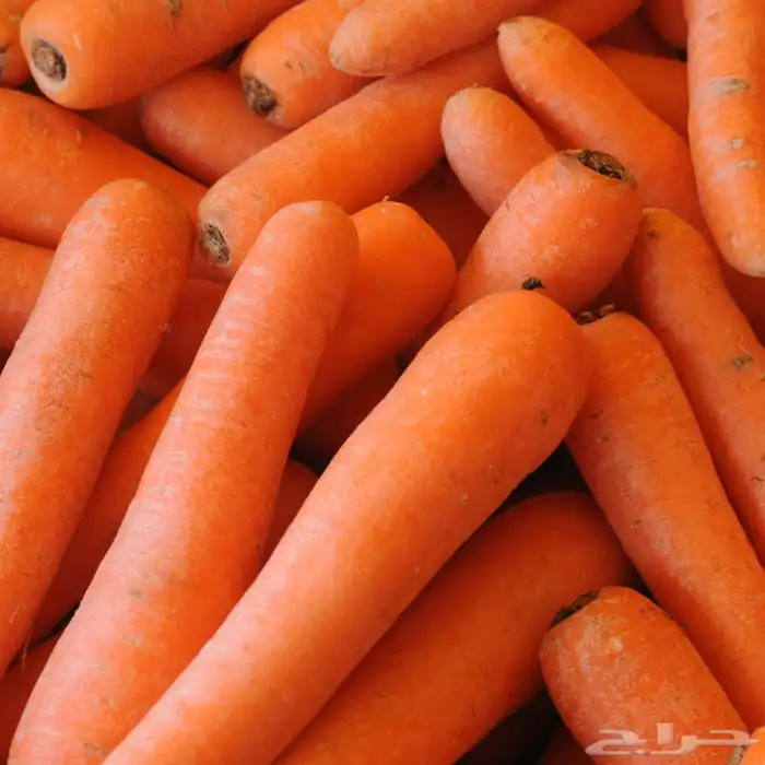 خضار اليوم باسعار الجملة 2