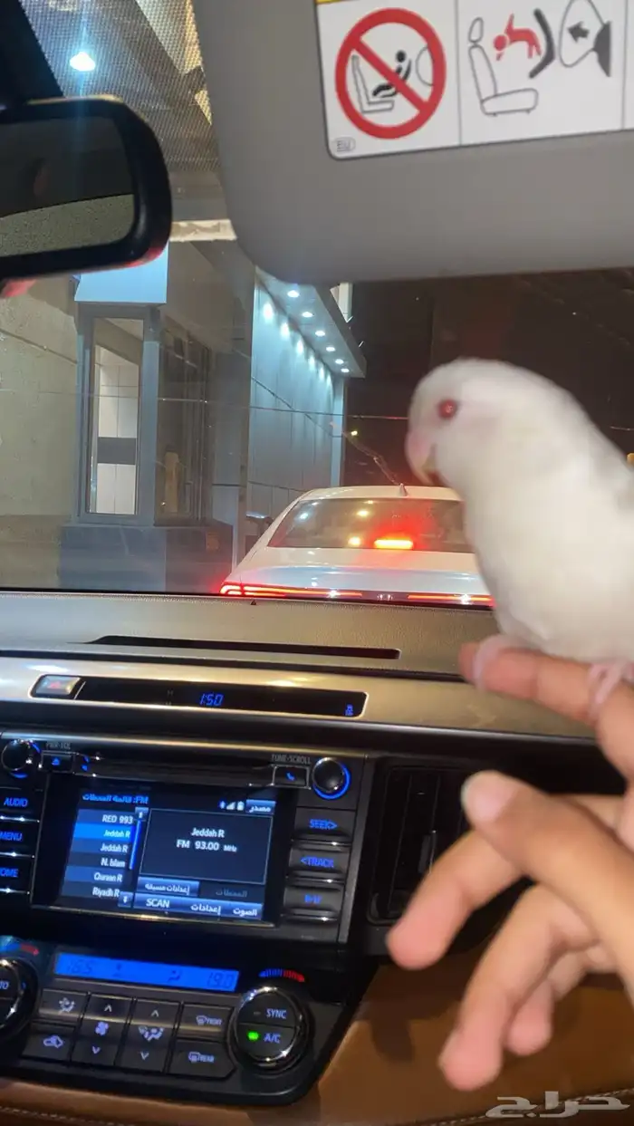 ذكر روز اليف جداا هدد خارجي 4