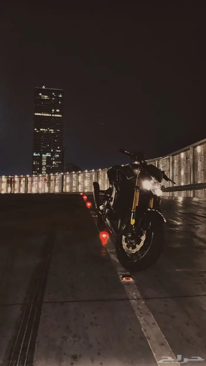 سوزوكي ستريت فايتر Gsxs750 2021 5