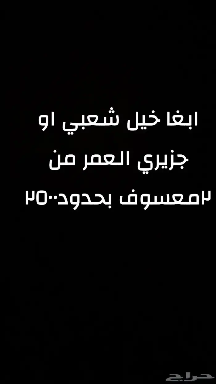 ابغا خيل شعبي بحدود 2500 وتحت 0