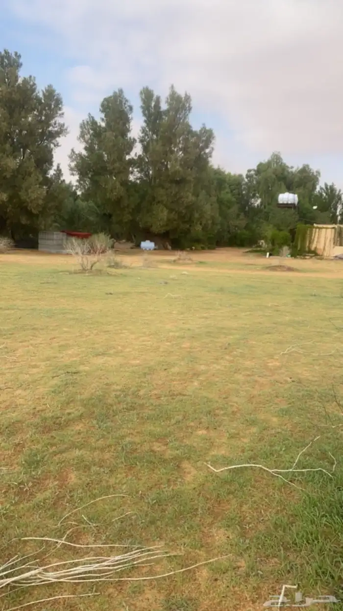 مزرعة و مخيم للإيجار اليومي و الاسبوعي 4