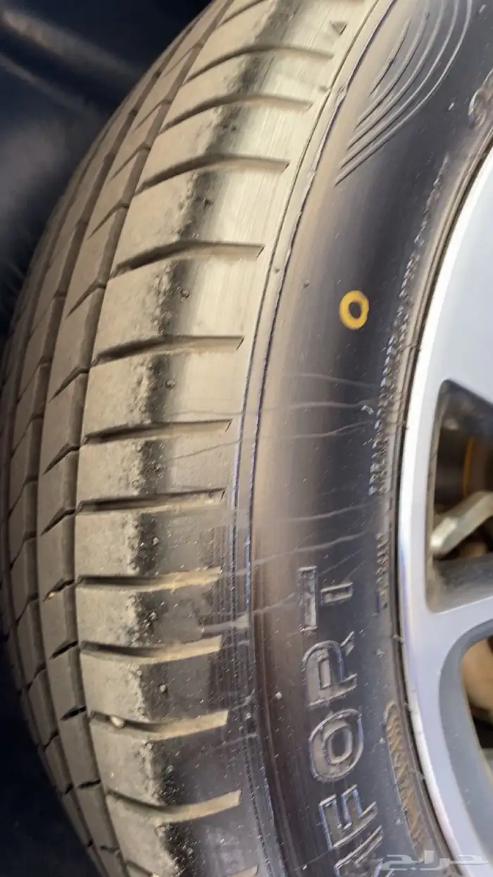 رينو فل كامل فلونس2015 اخت الجديده ممشى قليل 28