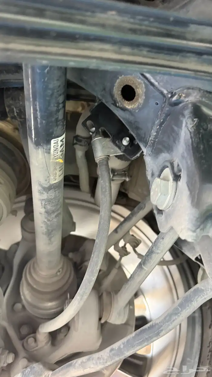 سنتنيال 2014 18