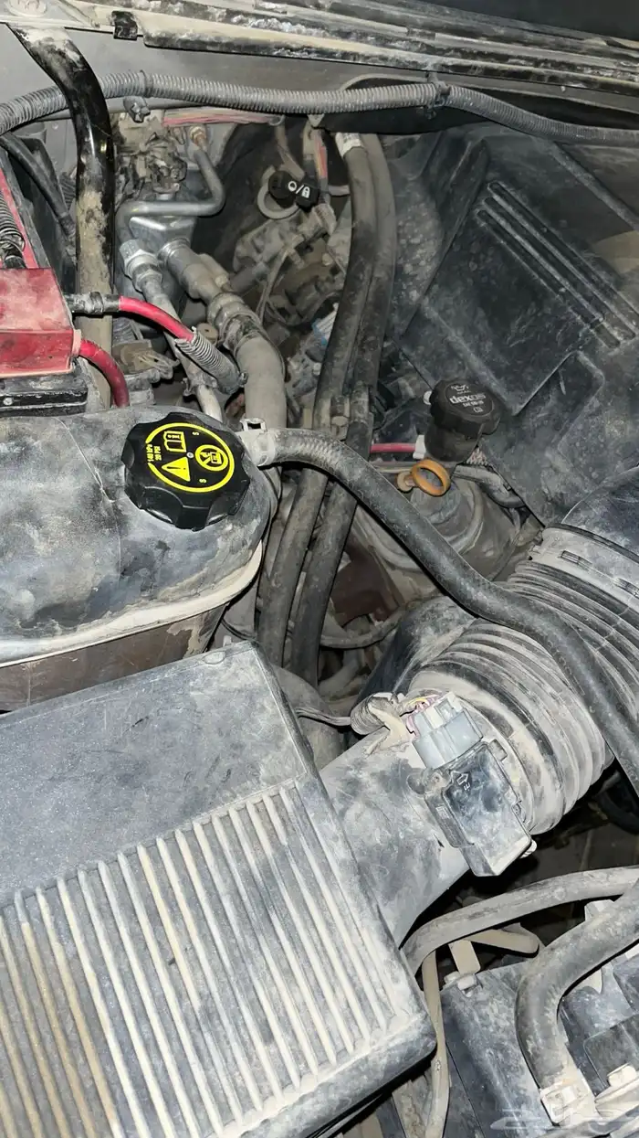 سلفرادو 2013 19