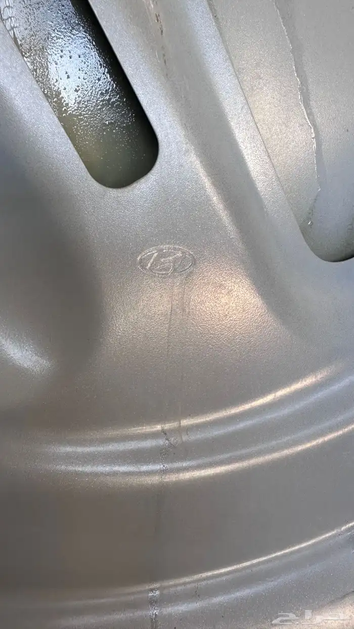 كبوت ازيرا 2018 2