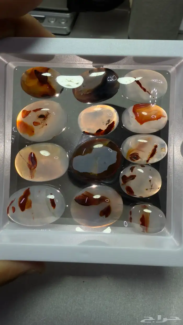 حياكم الله في المزاد 2