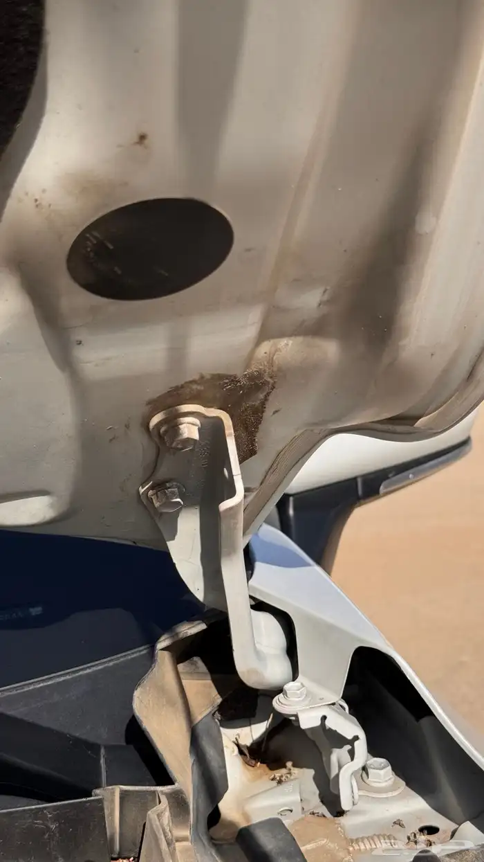 افلون ليمتد فل كامل نظيفة 12