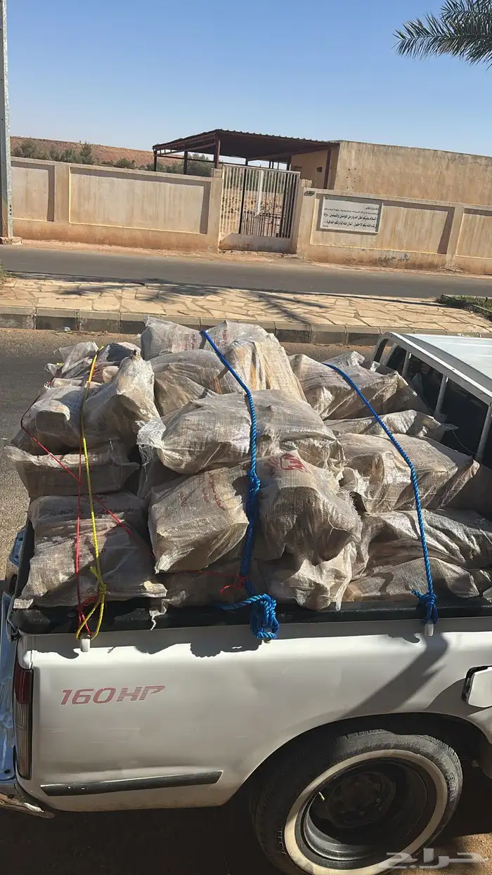 حطب قرض افريقي (شقراء) 7