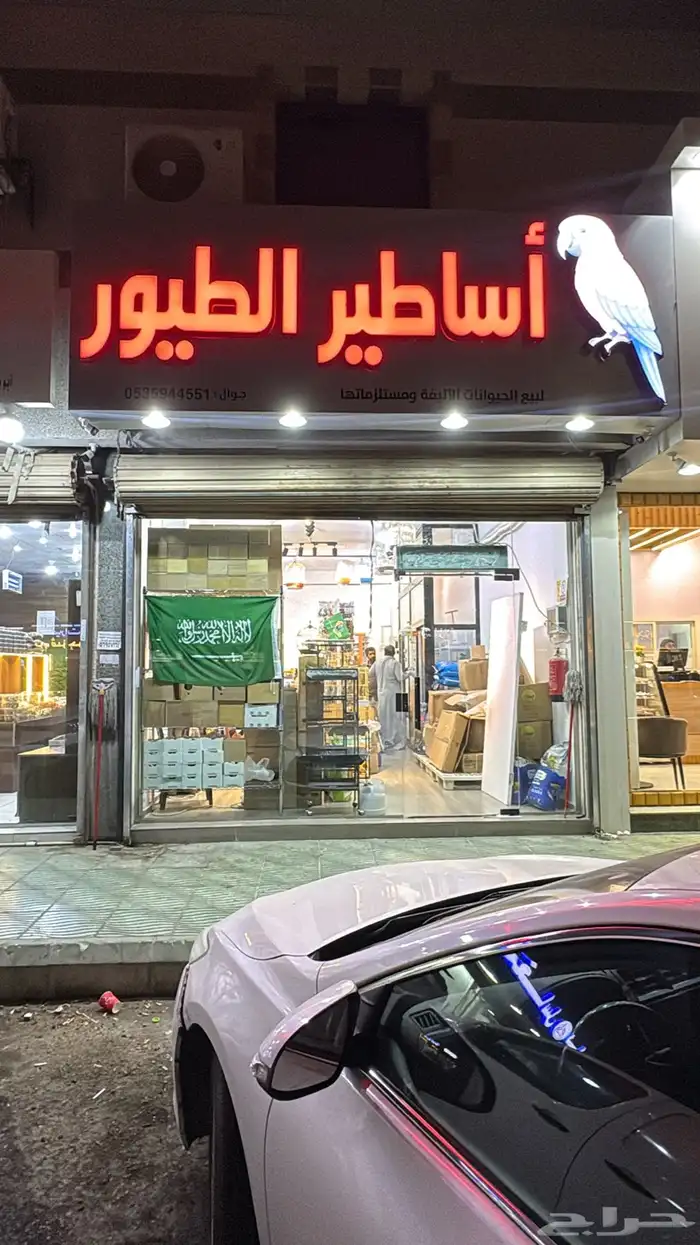 مستلزمات قطط و طيور اسعار طيبه جدا 0