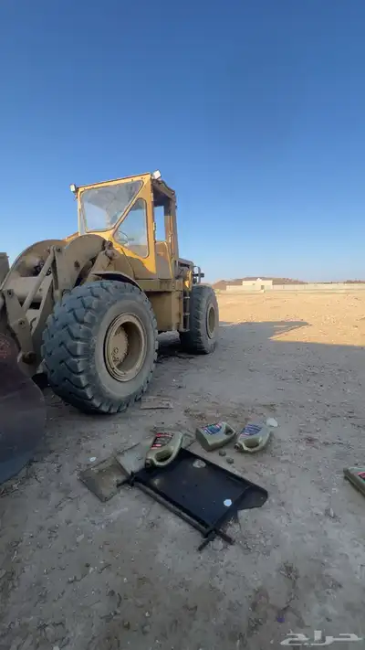 شيول 50 سي 81 index