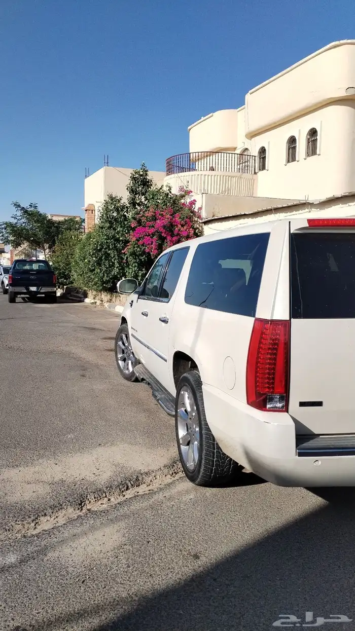 كاديلاك اسكلد 1