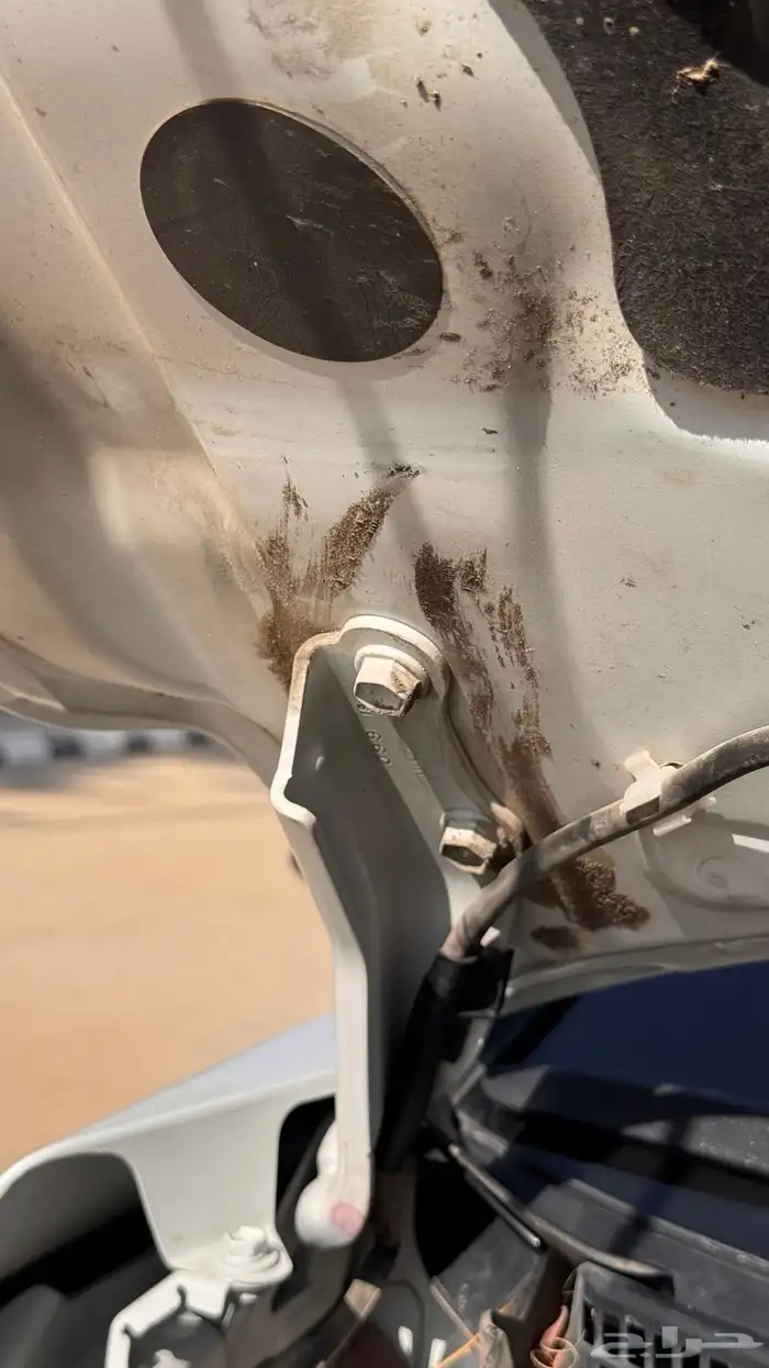 افلون ليمتد فل كامل نظيفة 11