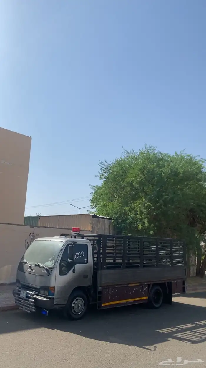 دينا نقل داخل الحناكيه وخارجها 0