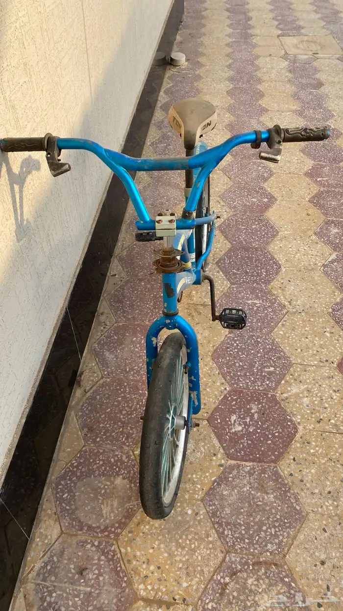 للبيع سيكل كوبرا عل السوم 1