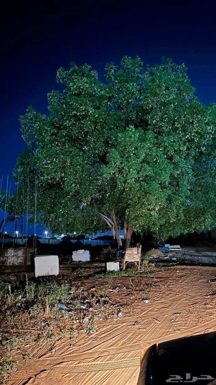 مصور سيارات محلات وغيره من اشياء 5