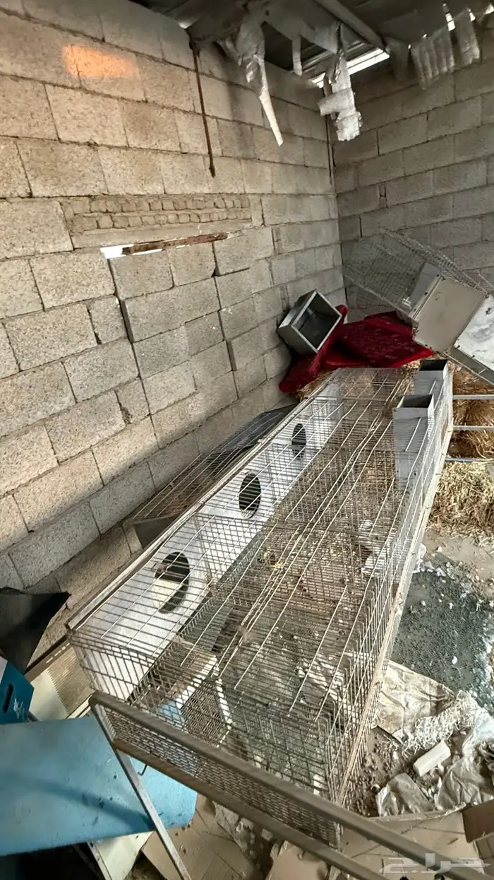 بطارية ارانب 2