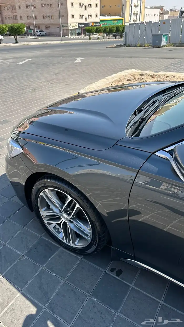 ازيرا 2020 الي يدور لنظيف يتفضل 18