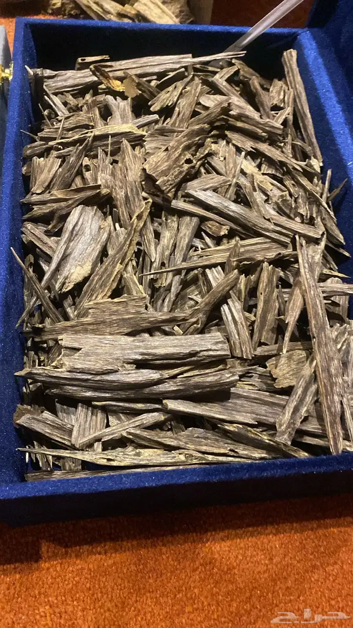 عود همدي كيلوين نقلاند سوبر وسوبر مرتفع 0