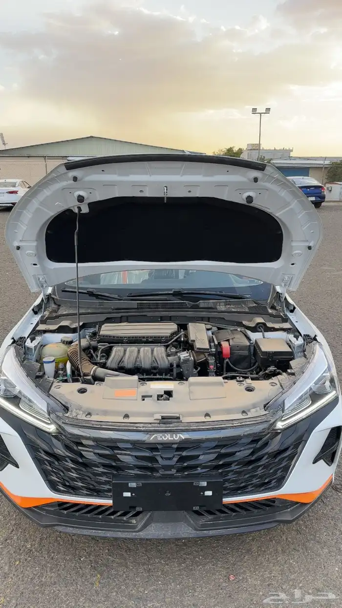 دونج فينج 2025 اصفار للبيع اقل سعر في السوق 6