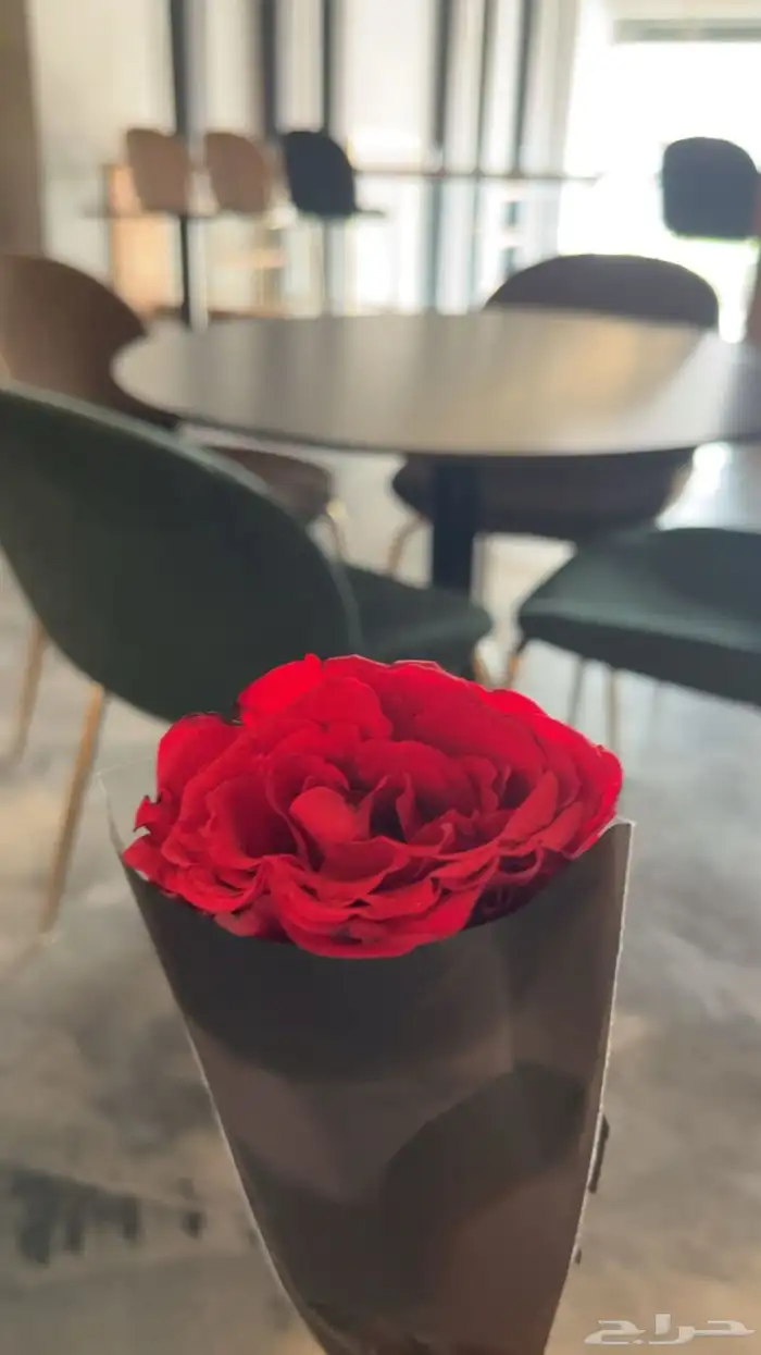 مصور سيارات محلات وغيره من اشياء 12