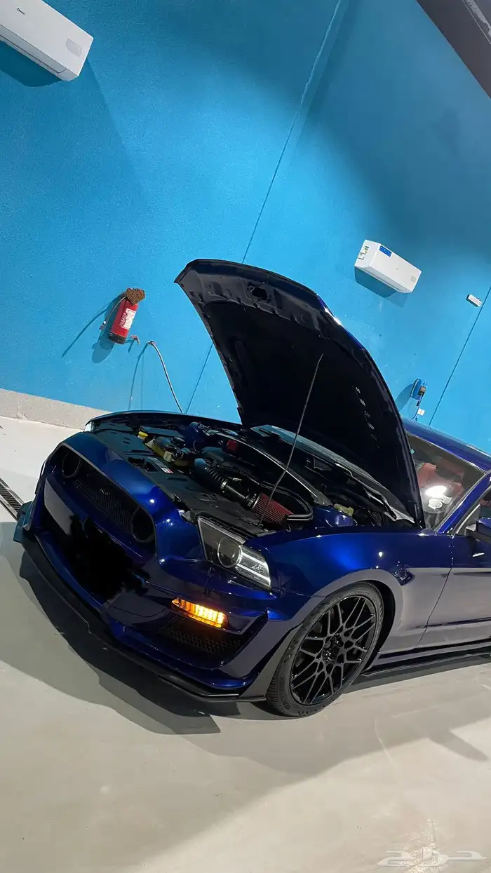 موستنق 2013 للبيع والبدل المقبول 3