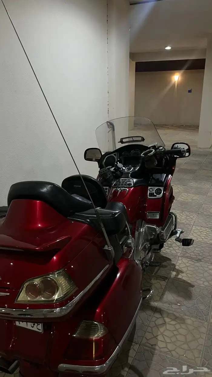 دباب قولد وينق 2008 3