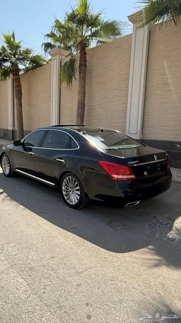 سنتنيال 2014 9